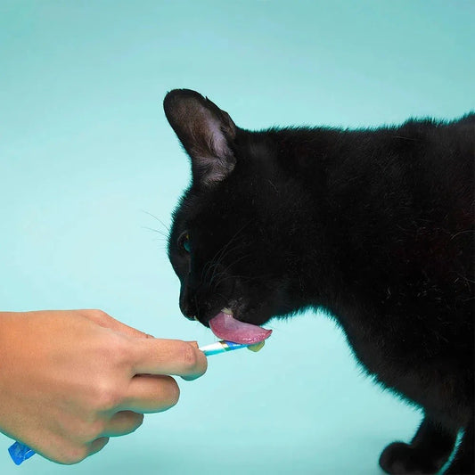 Petisco Premium Gatos Churu Sabor Atum Pacote com 4 Sachês