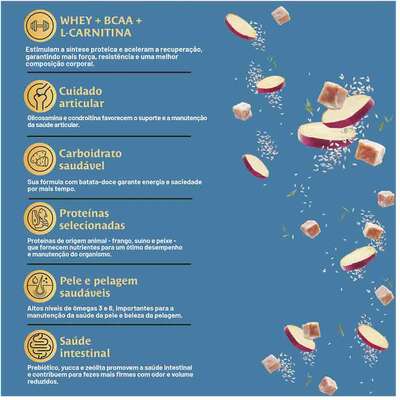 Quatree Select Power para Cães Adultos Sabor Frango com Arroz e Batata Doce 15KG