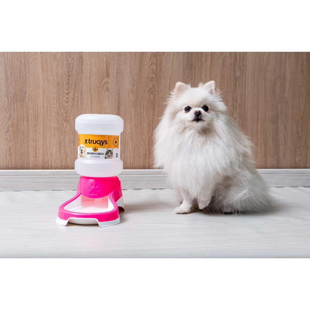 Bebedouro Automático Beba Pet One Galão - 2 Litros