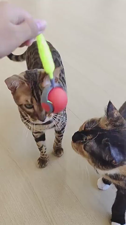 Brinquedo Animais De Estimação Em Movimento Automático Com Sensor De Gravidade