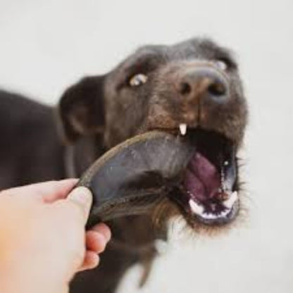Casco Bovino Com 6 Unidades Casco de boi para cães Mordedor