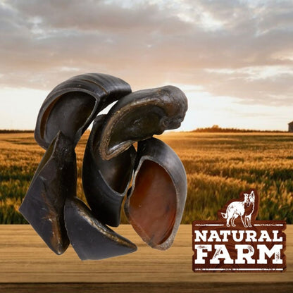 Casco Bovino Com 6 Unidades Casco de boi para cães Mordedor