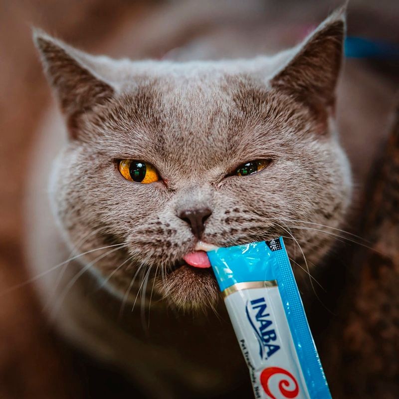 Petisco Churu Para Gatos Adultos Sabor Atum com Salmão 56g