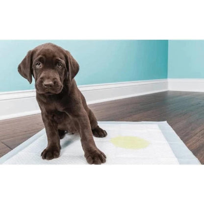 Tapete Higienico Mr Dry 60x60 7 Unidades